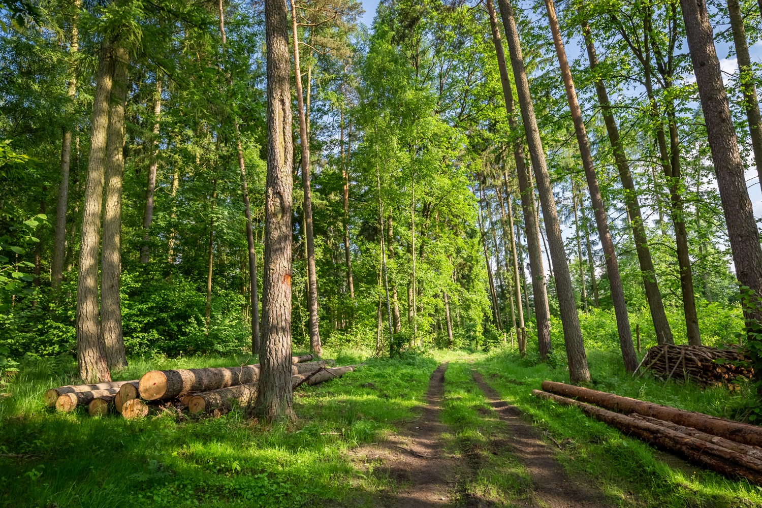 Rask og pålitelig transport og masseforflytning i Kvinesdal og Agder - SAMUEL HAUGSETH er spesialist på jord
